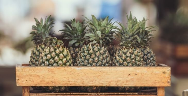 Can Guinea Pigs Eat Pineapple?