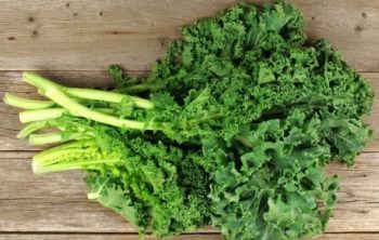 Can Guinea Pigs Eat Kale?
