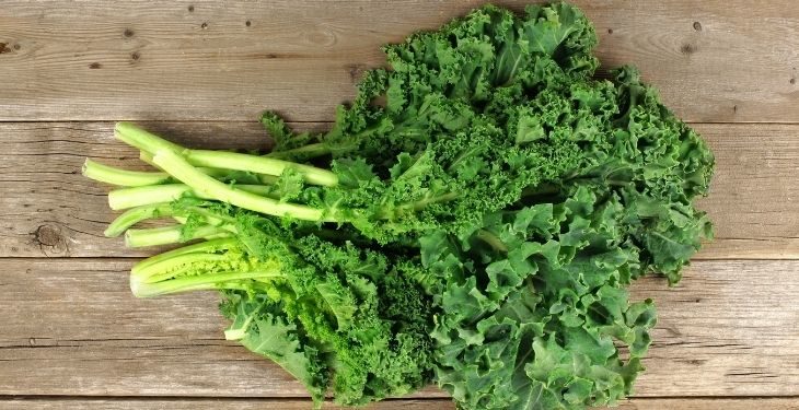 Can Guinea Pigs Eat Kale?