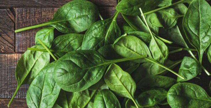 can guinea pigs eat spinach